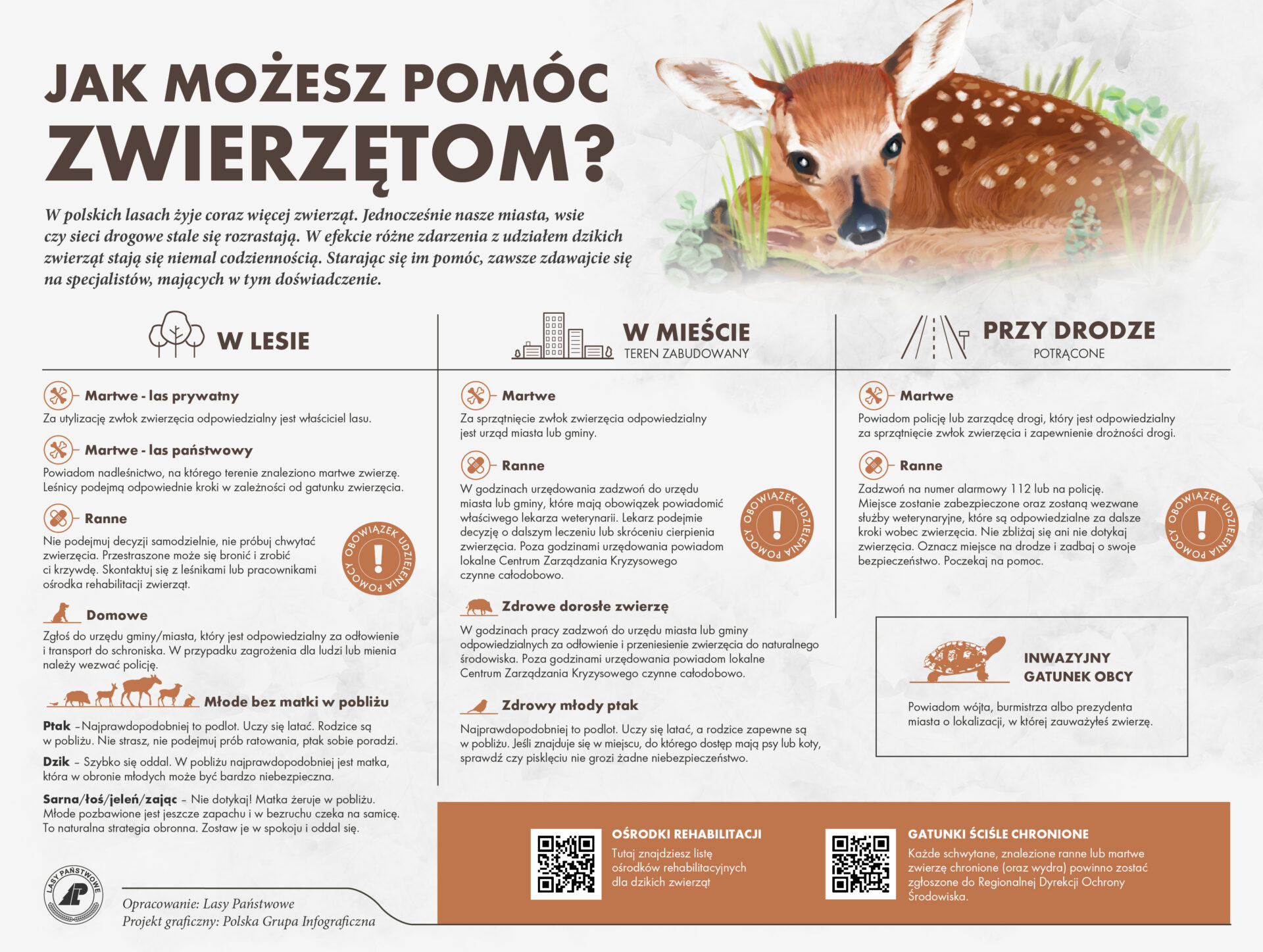 Plakat Pomoc Zwierzętom